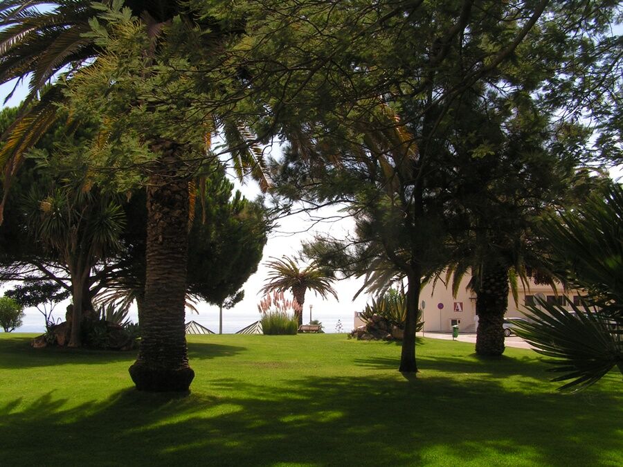 Iberlagos Bagian luar foto