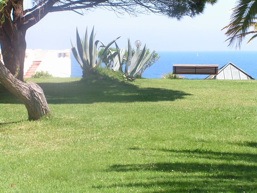 Iberlagos Bagian luar foto